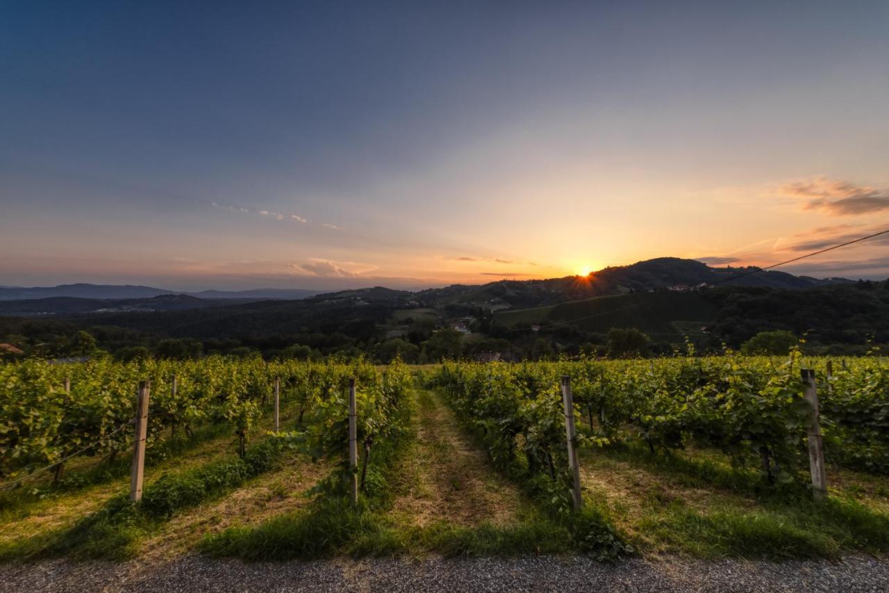 Weingut Reiterer Hotel Kitzeck im Sausal Buitenkant foto