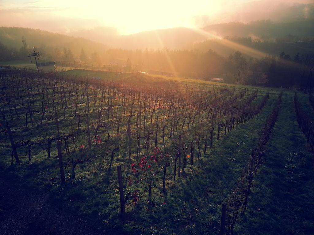 Weingut Reiterer Hotel Kitzeck im Sausal Buitenkant foto